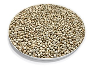 White sorghum seeds animal feeds spot focus