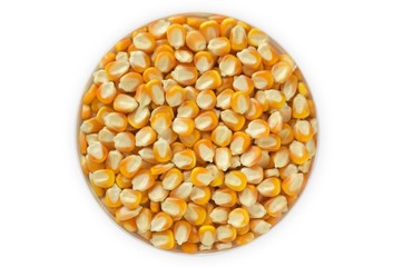 Corn seeds animal feeds close up and spot focus