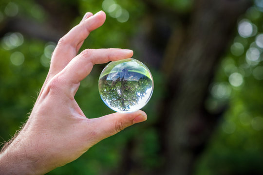 Umweltschutz: Mann h&auml;lt eine Glaskugel, in der sich ein uralter Baum spiegelt
