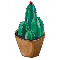 Paint watercolor texture. Blooming cactus in a pot. Illustration. Isolated