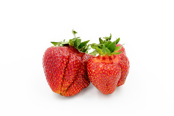 Imperfect Strawberry. Odd Ogranic Fruit. Red Sweet Berry Closeup. Vegetarian healthy Natural Diet. Summer vitamin Brekfast. Ugly Berry Raw Food. Strawberry Group