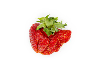 Imperfect Vegetable. Fresh Strawberry. Raw Organic Fruit Closeup Isolated on White. Strage Ugly Vitamin Fruit. Fresh and Delicious Sweet Red Natural Berry. Vegetarian Nutrition Breakfast Ingredient