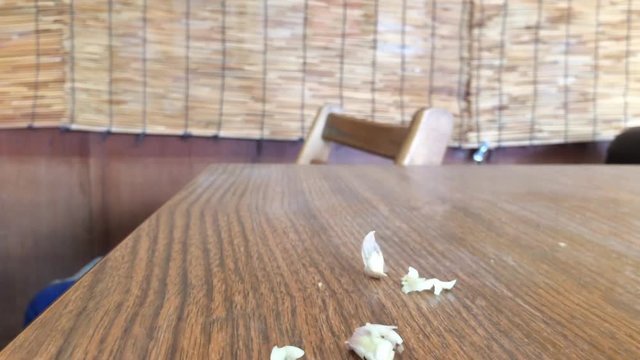 Orange parrot eating garlic 