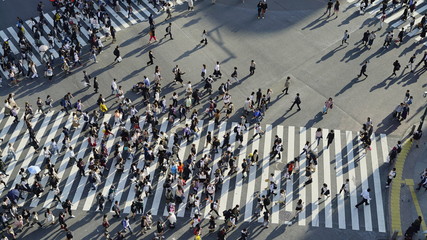 東京・渋谷・スクランブル交差点