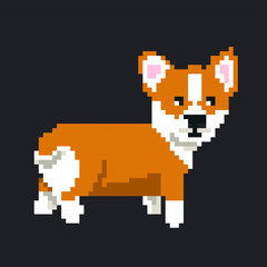 Fototapeta premium sweet little Corgi. pixel vector