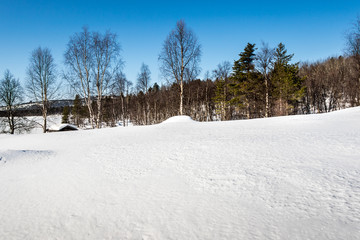 Fototapeta na wymiar Snow Landscape