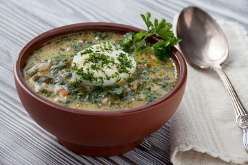 Soup with vegetables and spring greens and egg