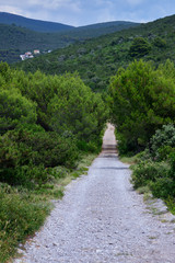 Fototapeta na wymiar road stretching into the distance on a sunny day blue sky on the horizon of the mountain