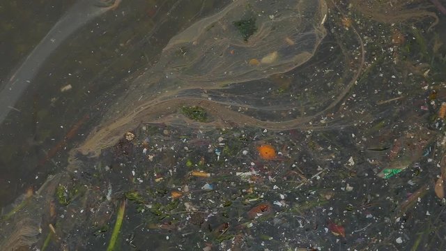 Top view of terribly polluted water outdoors.