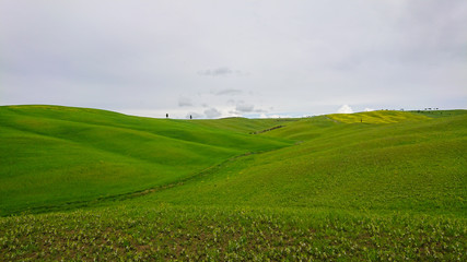 Beautiful spring minimalistic landscape with green hills in Tuscany