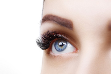 Eyelash Extension Procedure. Woman Eye with Long Blue Eyelashes. Ombre effect. Close up, selective focus. - 271043588