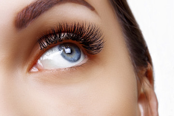 Fototapeta premium Eyelash Extension Procedure. Woman Eye with Long Blue Eyelashes. Ombre effect. Close up, selective focus.