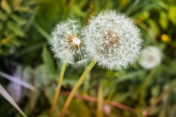 Natur im Wandel der Jahreszeiten