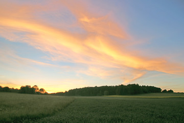 Landschaft Schwäbische Alb 