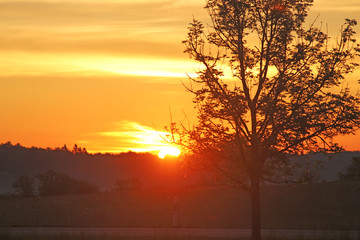 Fototapeta na wymiar Sonnenaufgang auf der Schwäbischen Alb