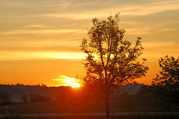 Landschaft Schwäbische Alb 