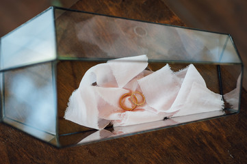 Two gold wedding rings in an elegant glass box.