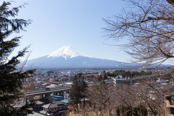 Fuji mountain and trees witout leave foreground