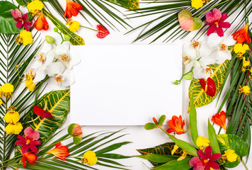Composition with fresh tropical leaves and exotic flowers on white background.