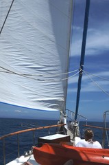 Fototapeta premium Goélette turque navigant de Bodrum aux criques du golfe de Gokova (Turquie)