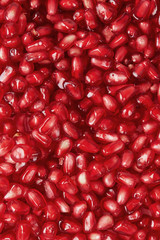 Pomegranate seeds close up