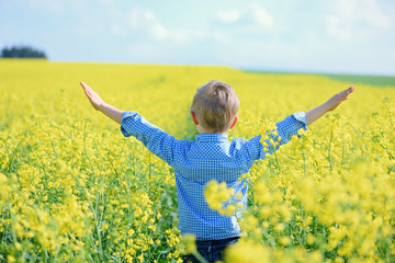 A small boy runs through a field of blooming rape.