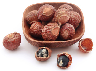 Obraz premium Sapindus mukorossi or Indian soapberry