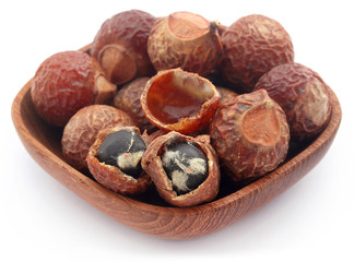 Sapindus mukorossi or Indian soapberry