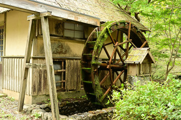 When I watch a windmill turning, I feel like time moves a little slower.