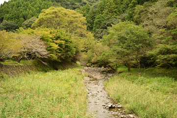 I know, as we're going for a walk we could go along the forest path and to the forest mini-valley or something?
