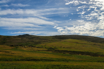 Fototapeta premium During our morning landing on carcass island, the weather was rapidly improving. This resulted in some interesting cloudscapes.