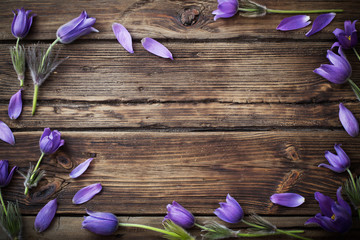 spring purple flowers on old wooden background