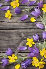 spring purple and yellow  flowers on old wooden background