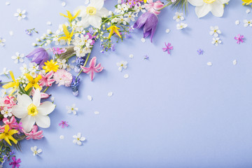 spring flowers on paper background