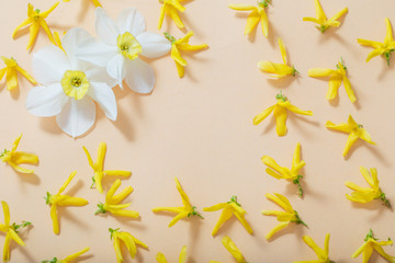 spring flowers on orange paper background