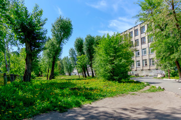 the school building is in the foliage