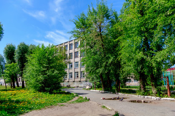 the school building is in the foliage
