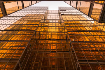 Gold glass mirror of contemporary buildings, low angle view.