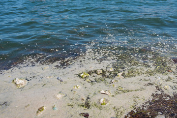 Ecological catastrophy. Sea pollution by garbage. Plastic in the ocean. Plastic bags in the pond.