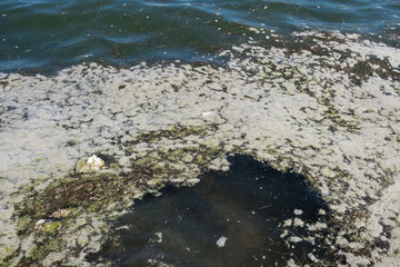 Ecological catastrophy. Sea pollution by garbage. Plastic in the ocean. Plastic bags in the pond.