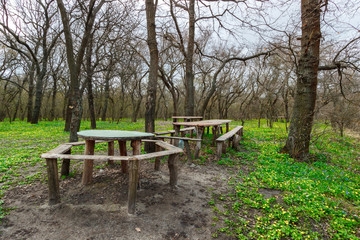 The glade in the springtime leafless forest with wooden picnic tables and benches