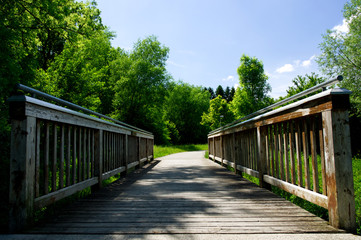 Symmetrisches Bild von einer Brücke im Grünen im Sommer
