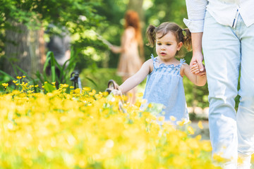 Cute Little Girl Walking in a Field of Yellow Flowers.