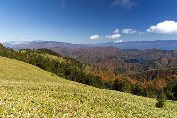 紅葉の富士見台高原／岐阜県中津川市／長野県阿智村