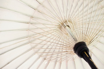 The inner structure of the white umbrella