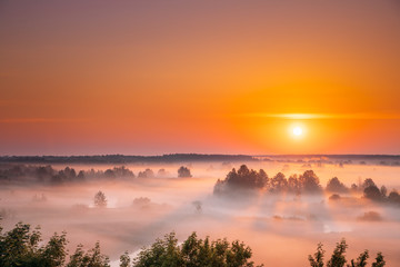 Fototapeta na wymiar Amazing Sunrise Sunset Over Misty Landscape. Scenic View Of Foggy Morning Sky With Rising Sun Above Misty Forest And River. Early Summer Nature Of Eastern Europe