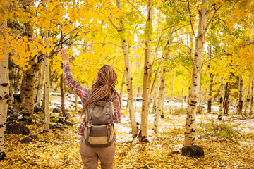 The girl travels to America in the autumn