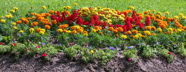 Buntes Blumenbeet-Banner für Gartengestaltung und Gärtnerei