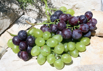 Grapes on a stone background
