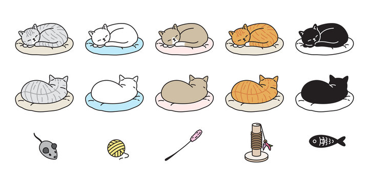 cat vector kitten calico icon logo sleeping pillow symbol cartoon character doodle illustration design